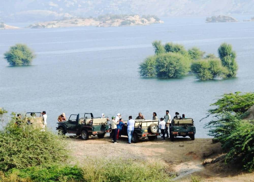 Jawai (3) (1)